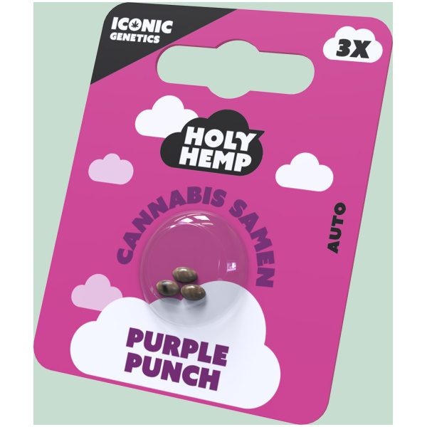 Purple Punch Cannabissamen von HappyBuds