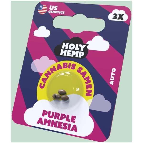 Purple Amnesia Cannabissamen von HappyBuds